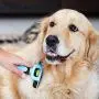 DakPets Pet Grooming Brush Effectively Reduces Shedding by up to 95% Professional Deshedding Tool for Dogs and Cats DakPets Pet Grooming Brush Effectively Reduces Shedding by up to 95% Professional Deshedding Tool for Dogs and Cats