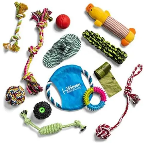 24Seven Wellness and Living Puppy Toys for Teething Small Dogs-Bundle of Chew Toys-Tug Rope Toys-Frisbees-Plush Squeaky No Stuffing Toys-Bones and Balls-Fun Dog Toy Value Packs for Small-Medium Dogs 24Seven Wellness and Living Puppy Toys for Teething Small Dogs-Bundle of Chew Toys-Tug Rope Toys-Frisbees-Plush Squeaky No Stuffing Toys-Bones and Balls-Fun Dog Toy Value Packs for Small-Medium Dogs