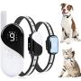 Dog Training Collar - Rechargeable Dog Shock Collar w/3 Modes, Beep, Vibration and Shock, Waterproof Pet Behaviour Training for Extra Small, Medium, Large Dogs