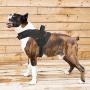 voopet No Pull Dog Harness, Pet Halter Adjustable Reflective Oxford Material Vest with Handle for Dogs Easy Control - No More Tugging or Choking