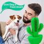 SYLVAN PERIAPT Dog Chew Toothbrush Toy Brushing Teeth Cleaning Puppy Natural Rubber Dental Care Medium & Large Pet Squeak