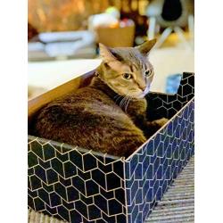 Purrfect Cat Box , Blue