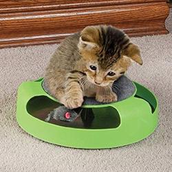 Chenyouwen Pet Toys Great Pet Supplies Cat Plastic Catch The Mouse Interactive Turntable Pet Toys