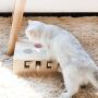 HSHXY Cat Funny Toys Interactive, Wooden Solid Whack A Mole Mouse Game Puzzle Toy, Cat Practice Toys for Pet Cat Kitten Play Fun Excercise