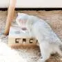 HSHXY Cat Funny Toys Interactive, Wooden Solid Whack A Mole Mouse Game Puzzle Toy, Cat Practice Toys for Pet Cat Kitten Play Fun Excercise