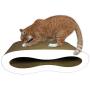 Premium Cat Scratcher Lounge Bed - White Acrylic