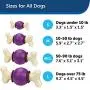 PetSafe Busy Buddy Bouncy Bone, Treat Holding Dog Toy, Small, Medium, Medium/Large and Large Sizes PetSafe Busy Buddy Bouncy Bone, Treat Holding Dog Toy, Small, Medium, Medium/Large and Large Sizes