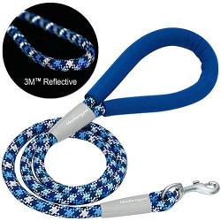 Blueberry Pet 8 Colors Durable Dog Rope Leash with Comfy Neoprene Handle