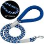 Blueberry Pet 8 Colors Durable Dog Rope Leash with Comfy Neoprene Handle