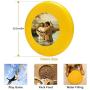 Pet Frisbee Flying Disc Dog Toy - Multifunction Baptism of Christ Greg Olsen