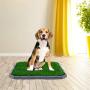 BINGPET Dog Grass Training Potty Pad, with Foldable Tray and Washable Pee Pads, Indoor Home Toilet System Pad, Portable Bathroom Mat for Puppies, Small Medium Doggies BINGPET Dog Grass Training Potty Pad, with Foldable Tray and Washable Pee Pads, Indoor Home Toilet System Pad, Portable Bathroom Mat for Puppies, Small Medium Doggies