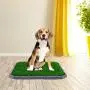 BINGPET Dog Grass Training Potty Pad, with Foldable Tray and Washable Pee Pads, Indoor Home Toilet System Pad, Portable Bathroom Mat for Puppies, Small Medium Doggies