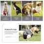 Heywean No Pull Dog Harness for Outdoor Walking Adjustable Pet Vest Harness with Easy Control Handle Prevent Dogs from Bursting (L, Grey)