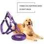 HUIYOU Puppy Harness Leash Set, Heavy Duty Training Dog Vest Perfect for Large Medium Small Dogs (S, Purple)