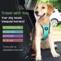 VavoPaw Dog Vehicle Safety Vest Harness, Adjustable Soft Padded Mesh Car Seat Belt Leash Harness with Travel Strap and Carabiner for Most Cars