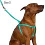 CollarDirect Rolled Leather Dog Harness Small Puppy Step-in Leash Set for Walking Pink Red White Blue Green Black Purple Beige Brown Yellow