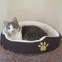 Evelots Pet Bed for Cat/Small Dog-Ultra Soft-Warm/Cozy-Easy Washing-Asst. Colors