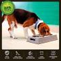 Iconic Pet Colour Splash Designer Rattan Pet Double Diner (Set of 2)