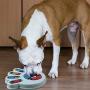 FASOON Interactive Dog Food Puzzle Toy - Treat Dispensing Dogs Slow Feeder Increase IQ Pet Dog Training Games Feeder Interactive Pet Supplies