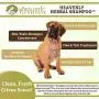 Wholistic Pet Organics Heavenly Herbal Pet Shampoo Wholistic Pet Organics Heavenly Herbal Pet Shampoo