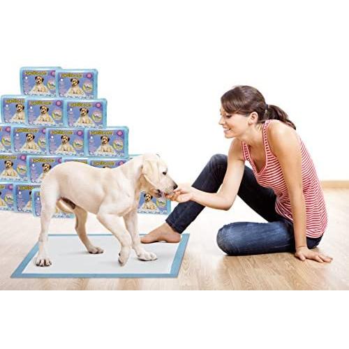 Pawssible Premium Training Dog Pads (100 Count) - New American Style, Blue (PAD-PSBL-100)