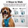 Voyager Freestyle 4-in-1 Dog Harness - Patent Pending Adjustable Webbing Harness with Removable Padding for Small to Large Dogs by Best Pet Supplies (Black, X-Small)
