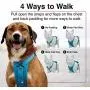 Voyager Freestyle 4-in-1 Dog Harness - Patent Pending Adjustable Webbing Harness with Removable Padding for Small to Large Dogs by Best Pet Supplies (Black, X-Small) Voyager Freestyle 4-in-1 Dog Harness - Patent Pending Adjustable Webbing Harness with Removable Padding for Small to Large Dogs by Best Pet Supplies (Black, X-Small)