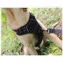 Stella-Lou No Pull Reflective no Choke Humane Dog Training Harness Heavy Duty Easy on/Off Adjustable Two Attachment Rings Small, Medium, Large, Extra Large