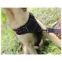 Stella-Lou No Pull Reflective no Choke Humane Dog Training Harness Heavy Duty Easy on/Off Adjustable Two Attachment Rings Small, Medium, Large, Extra Large Stella-Lou No Pull Reflective no Choke Humane Dog Training Harness Heavy Duty Easy on/Off Adjustable Two Attachment Rings Small, Medium, Large, Extra Large