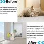 HSONLINE Windmill Cat Toy, Portable Turntable Teasing Toys Pet Training Interactive Balls, Scratching Tickle Cats Hair Brush with Rotating Led Ball & Catnip Ball, Suction Cup Base Pet Toys