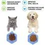 Jubyuan Lick Mat for Dogs,Dog Slow Dispensing Treater ,Dog Peanut Butter Lick Pad with Super Suction to Wall,Pet Lick Mat for Pet Bathing, Grooming, and Dog Training,Blue Jubyuan Lick Mat for Dogs,Dog Slow Dispensing Treater ,Dog Peanut Butter Lick Pad with Super Suction to Wall,Pet Lick Mat for Pet Bathing, Grooming, and Dog Training,Blue