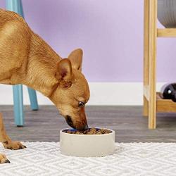 Ethical 9-1/2-Inch Stoneware Crock Dog Dish
