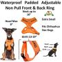 Dexil Limited NO Dogs (Not Good with Other Dogs) Orange Color Coded Non-Pull Front and Back D Ring Padded and Waterproof Vest Dog Harness Prevents Accidents by Warning Others of Your Dog in Advance