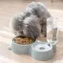 Dog Cat Bowls Food and Water Bowls Set, Automatic Water Dispenser Durable & Detachable Stainless Feeder Double Pet Bowls for Small Cats and Dogs Puppies Dog Cat Bowls Food and Water Bowls Set, Automatic Water Dispenser Durable & Detachable Stainless Feeder Double Pet Bowls for Small Cats and Dogs Puppies