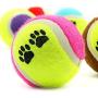 Pet Toy Vogue Tennis Balls Run Catch Throw Play Funny