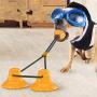 TuoTang Pet Supplies Dog Toys Double Sucker Teeth bite-Resistant Drain Food Ball
