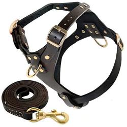 Beirui Genuine Leather Dog Harness and Leash Set for Small Dogs - No Pull Front Puppy Dog Halter Harness - 5ft Training Leads for Chihuahua Poodle Walking