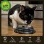 Iconic Pet Color Splash Stripe Non-Skid Pet Bowl, 16-Ounce, Black