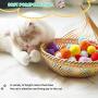 Cat Toys Variety Bundle Set, Cute Cat Toys Interactive Cat Toy Set Including Soft Cat Toy Balls Cat Catnip Toys for Cat Kitten Having Fun Exerciser Playing