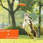 DISCDOG Bite-Resistant Jawz Dog Flying Disc Toy Tough Floatable Dog Disk for Golden Retriever Husky Samoyed Malinois Border Collie