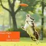DISCDOG Bite-Resistant Jawz Dog Flying Disc Toy Tough Floatable Dog Disk for Golden Retriever Husky Samoyed Malinois Border Collie