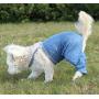 Mozzie Pants Dog Suspenders, Dog Diapers and Belly Bands.