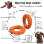 Updated Durable Dog Chew Toys for Aggressive Chewers - Lifetime Replacement Guarantee - Nearly Indestructible Natural Rubber Dog Toys - Tough Strong Tug of War Dog Teething Toys for Large Medium Dogs