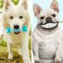 Pet Teeth Cleaning Chew Toys-Fetch Training Toys with Natural Rubber for Small Medium Large Doggy , Remove Tartar & Plaque.