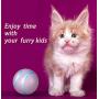 Blinkbrione Remote Control Pet Bounce Ball, Automatic Rolling and Rotation for Dogs & Cats with Colorful LED Lights, Rechargeable and Durable (Pink)