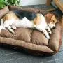 Petper Pet Self-Warming Bed, Dog Sofa Bed Paw Print Petper Pet Self-Warming Bed, Dog Sofa Bed Paw Print