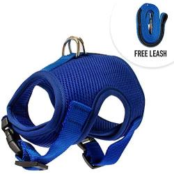 Downtown Pet Supply Cat Vest Harness and Leash Combo with Added Safety Features to Make it Escape Proof for Small, Medium, Large Cats and Small Dogs/Puppy (Available in Blue and Black)