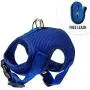 Downtown Pet Supply Cat Vest Harness and Leash Combo with Added Safety Features to Make it Escape Proof for Small, Medium, Large Cats and Small Dogs/Puppy (Available in Blue and Black)