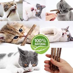 IETANG Cat Treat Chew Stick Toys,Sticks Organic Natural Plant Healthy Snacks Teeth Cleaning Bite Sticks, Kittens Cleaning Teeth Molar Tools, Cat Silvervine Sticks Value Set for Pets