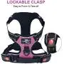 Bitsymore Dog Harness No Pull Reflective Pet Harness Outdoor Adjustable Vest with Quick Release Clasp Easy Control Handle for Small Medium Large Dogs Walking Training Bitsymore Dog Harness No Pull Reflective Pet Harness Outdoor Adjustable Vest with Quick Release Clasp Easy Control Handle for Small Medium Large Dogs Walking Training